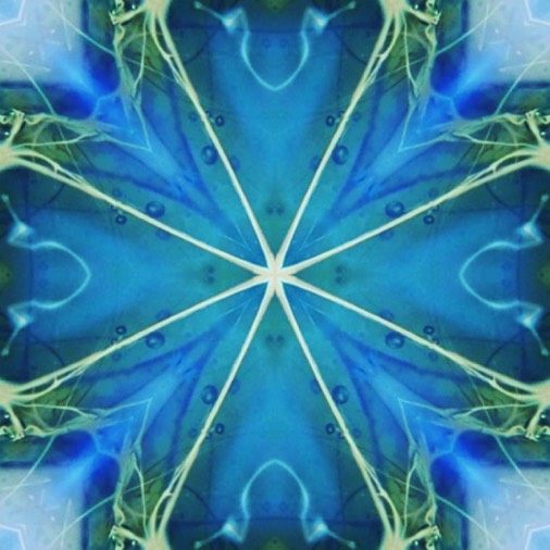 Stacks Image 5